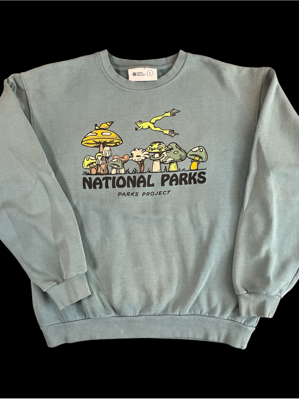 Parks Project Adult Large Crewneck Sweatshirt with Colorful Mushroom Graphic